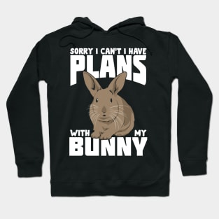 Rabbit Bunny Pet Animal Lover Gift Hoodie